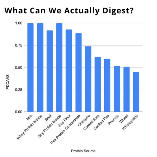What Can We Digest